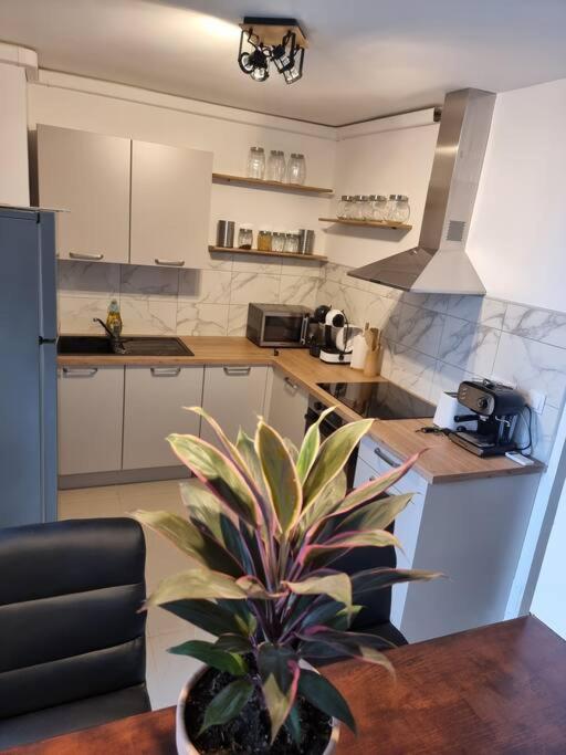 Appartement Vue Mer Avec Parking Gratuit Sur Place Bastiya Dış mekan fotoğraf